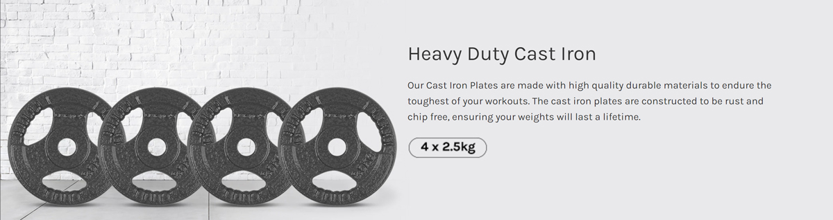 Four 2.5kg cast iron weight plates